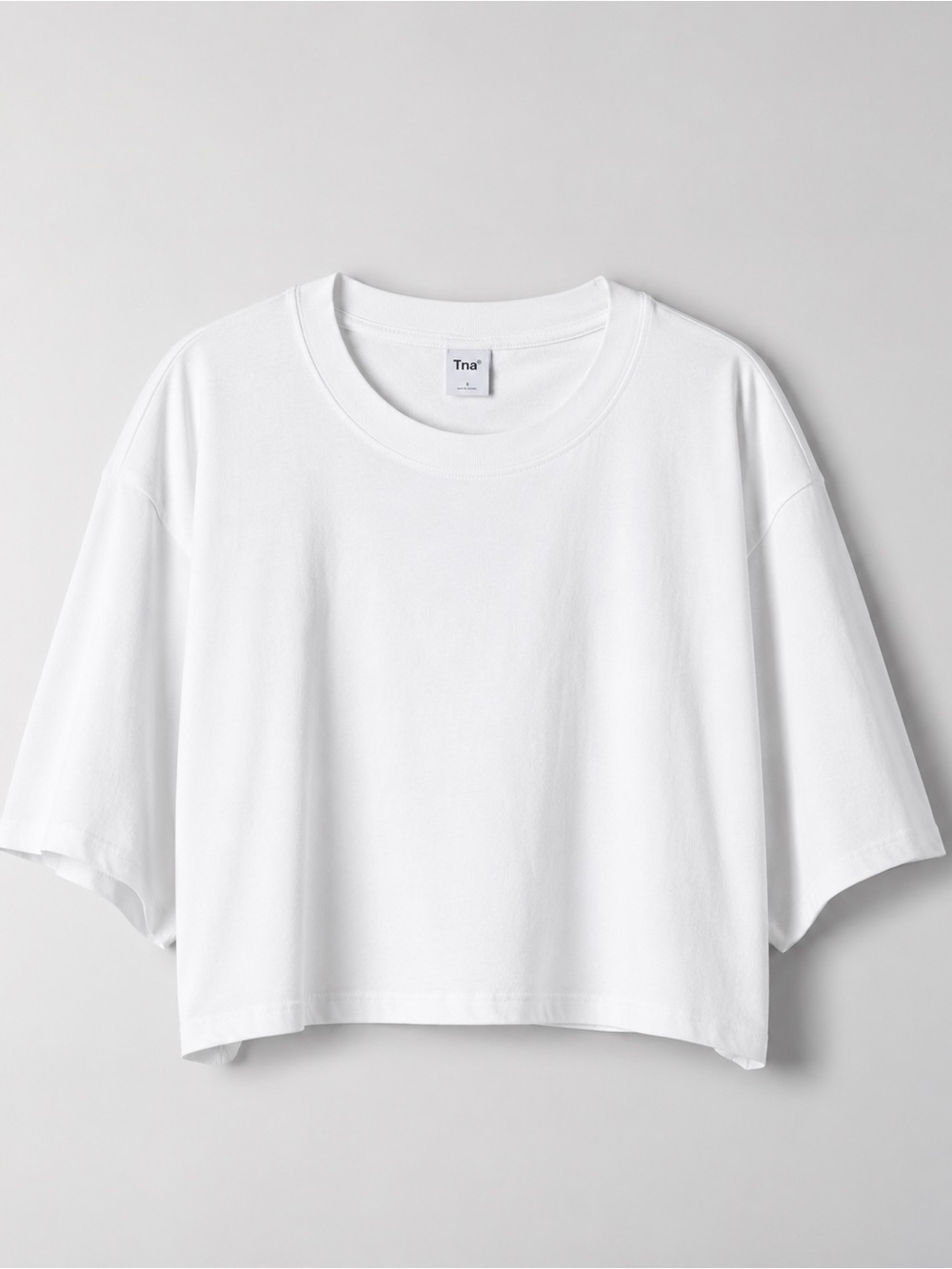 Aritzia TNA Tour Cotton T Shirt